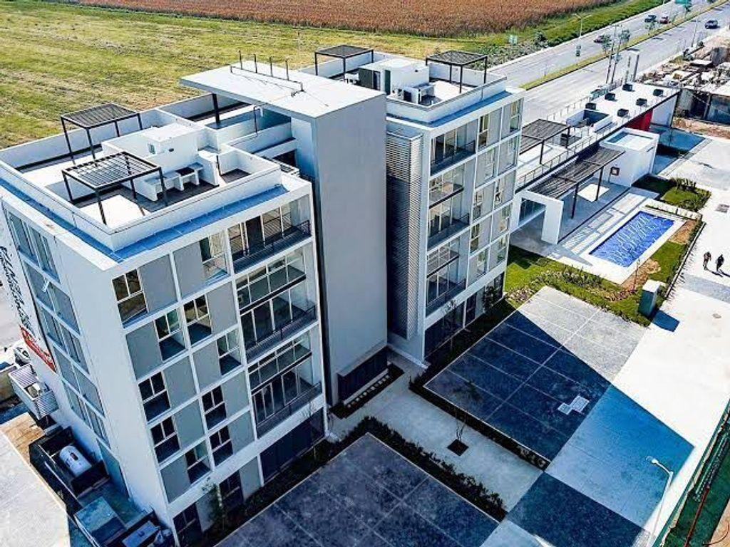 Foto de la galeria de imagenes