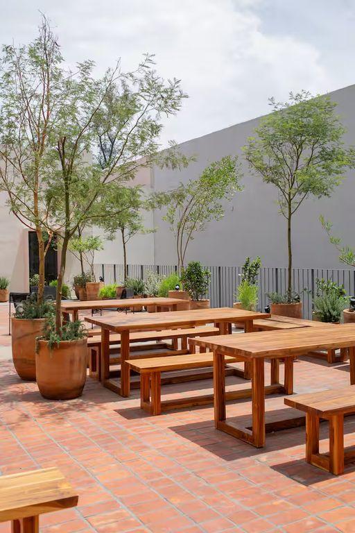 Foto de la galeria de imagenes