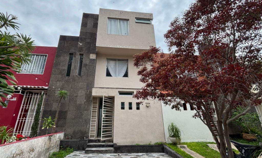 Foto de la galeria de imagenes