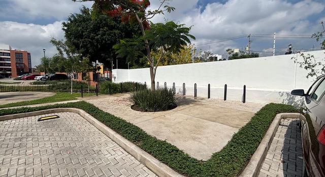 Foto de la galeria de imagenes