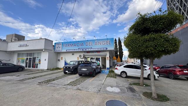 Foto de la galeria de imagenes